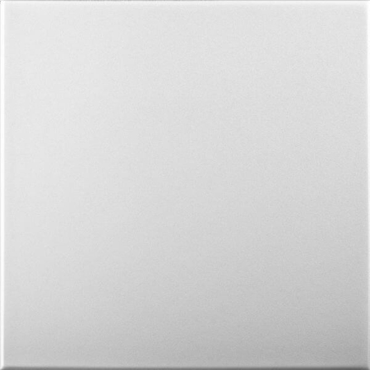 White Blank: Decorative Ceiling & Wall Panels - 2m2 (21.52 sqft) - 8 Panels