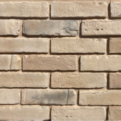 Elevation Brick with Grout: Cream with Cream Grout