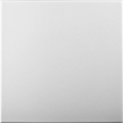 White Blank: Decorative...