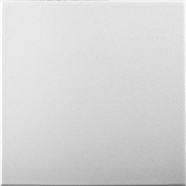 White Blank: Decorative Ceiling & Wall Panels - 2m2 (21.52 sqft) - 8 Panels